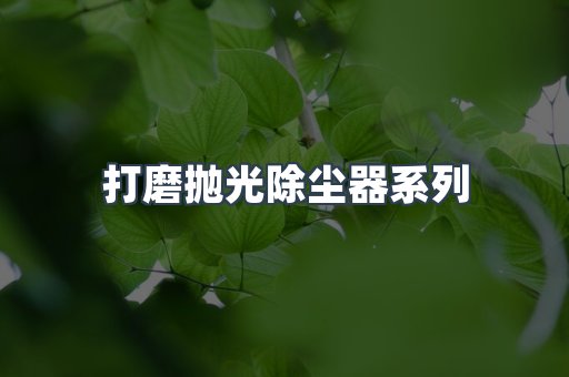 打磨抛光除尘器系列